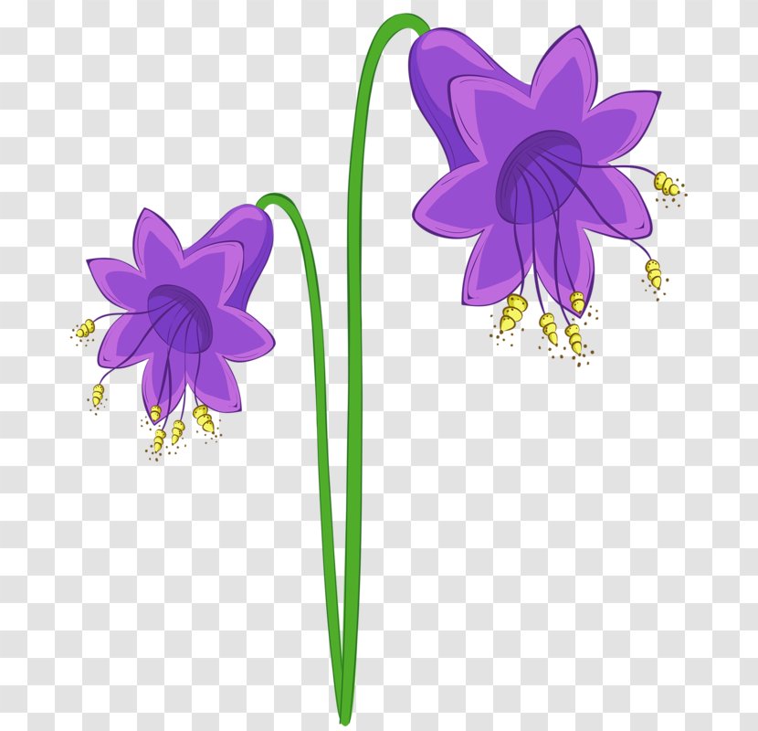 Orchids Albom Boat Orchid - Drawing - Purple Bell Transparent PNG