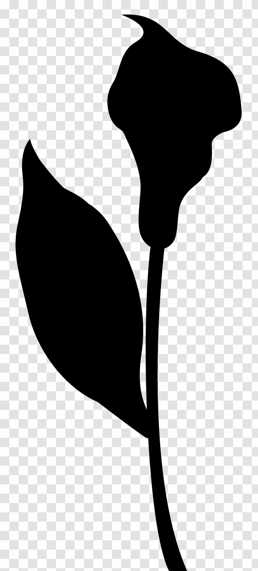 Leaf Clip Art Silhouette Line Neck - Monochrome Photography - Tree Transparent PNG