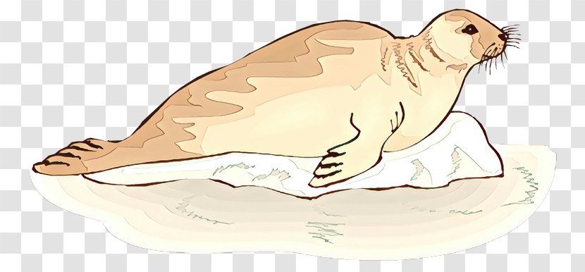 Sea Lion Clip Art Illustration /m/02csf Hare - Line - Earless Seal Transparent PNG