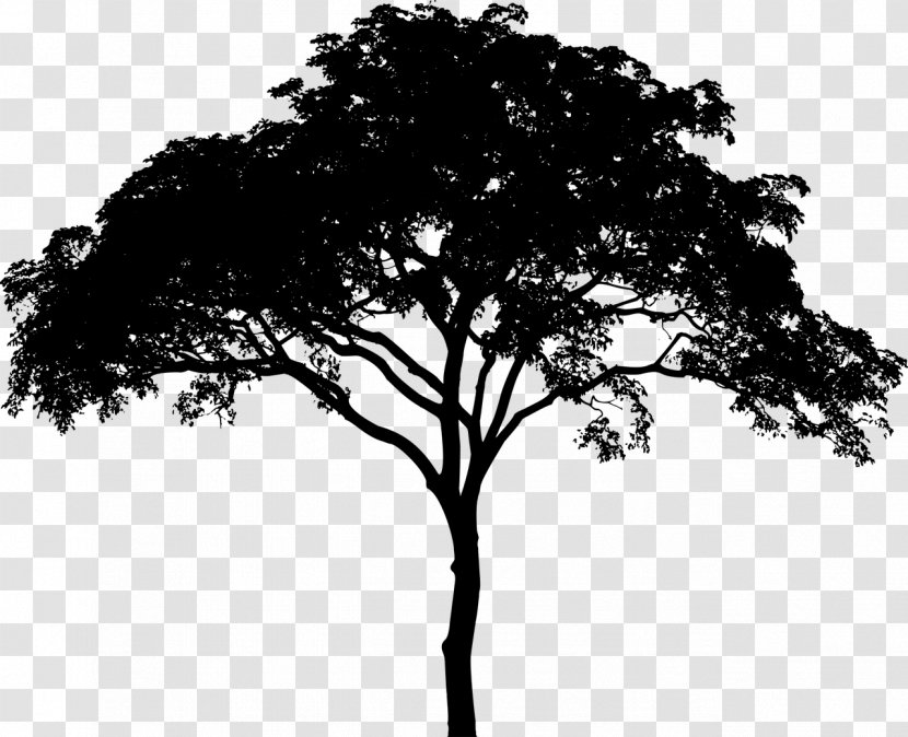 Tree Silhouette - Black And White Transparent PNG