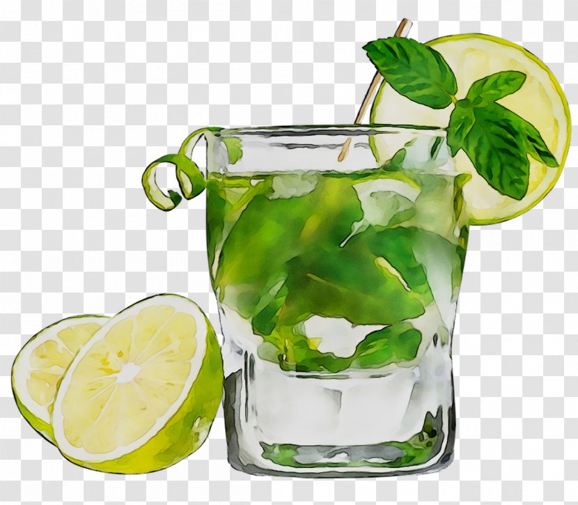 Mojito Lime Caipirinha Vodka Tonic Caipiroska - Mint - Sour Transparent PNG