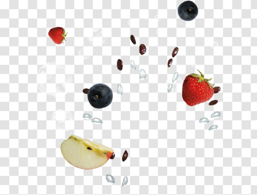 Fruit Citrus Blog Email - Fruits Splsh Transparent PNG