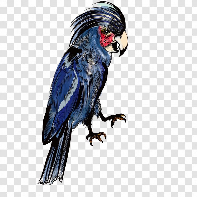 Parrot Macaw Blue - Wing - Vector Transparent PNG