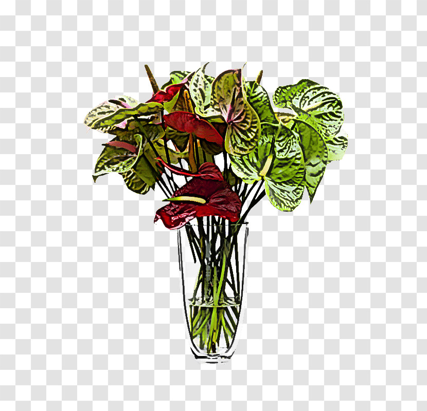 Flower Plant Anthurium Flowerpot Cut Flowers Transparent PNG