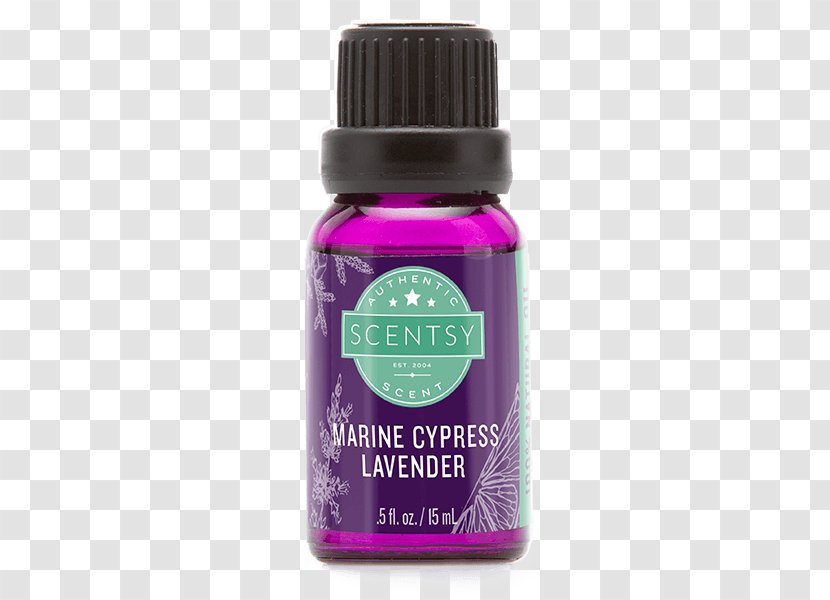 Christy Grant, Independent Scentsy Consultant Essential Oil Lavender - Gum Trees Transparent PNG