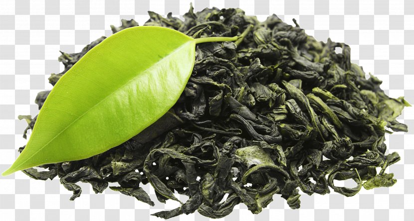 Green Tea Organic Food Plant Energy Drink - Black Transparent PNG