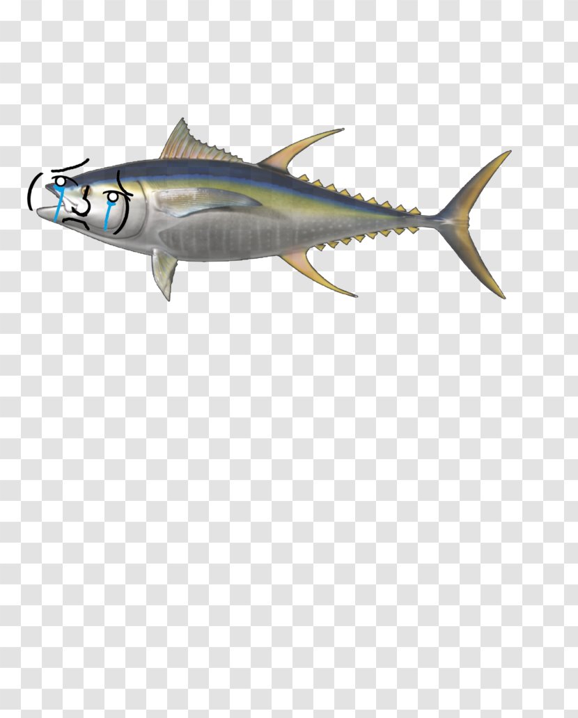 Bigeye Tuna Yellowfin Atlantic Bluefin Mackerel Fish - Milkfish Transparent PNG