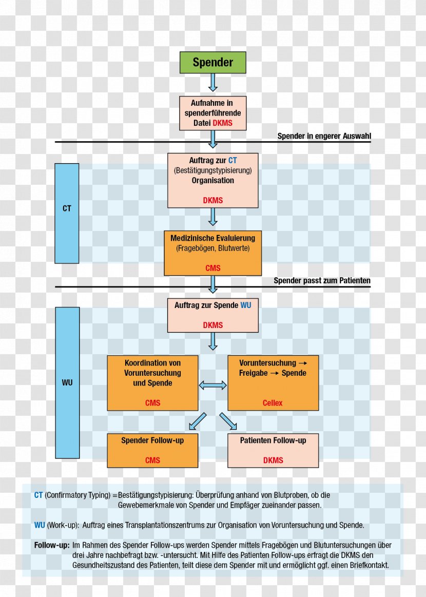 Hematopoietic Stem Cell Transplantation DKMS Transplant Rejection Web Page - Tree - Spend Transparent PNG