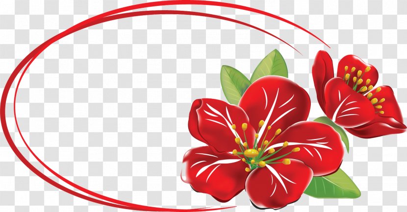 Floral Design Illustration Flower Vector Graphics - Flowering Plant Transparent PNG
