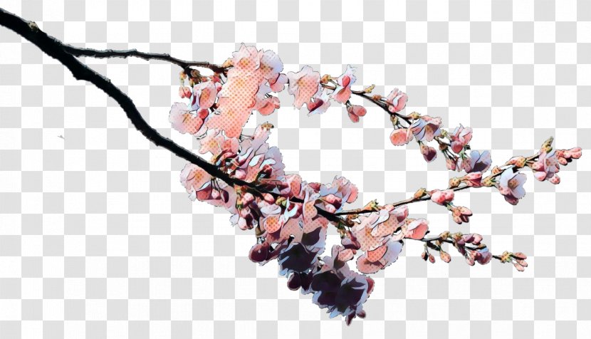 Cherry Blossom Tree Drawing - Jewellery - Twig Transparent PNG