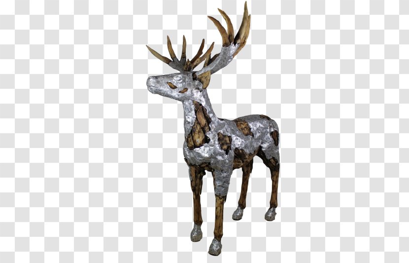 Reindeer Antler Wildlife - Deer Transparent PNG