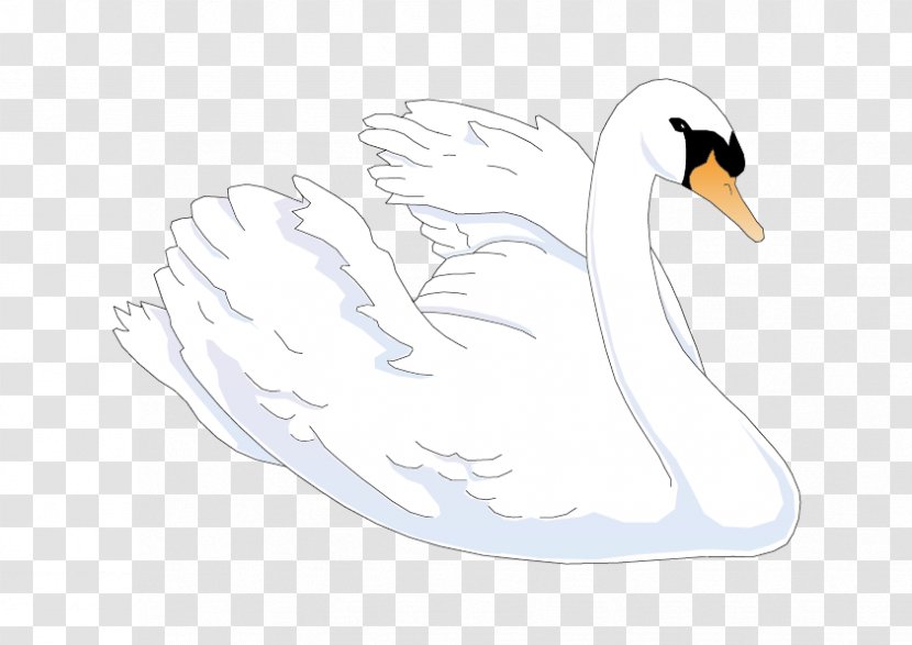 Duck Cygnini Cartoon Feather Illustration - Vertebrate - Vector Swan Transparent PNG