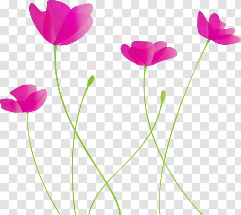 Flower Petal Pedicel Pink Tulip Transparent PNG