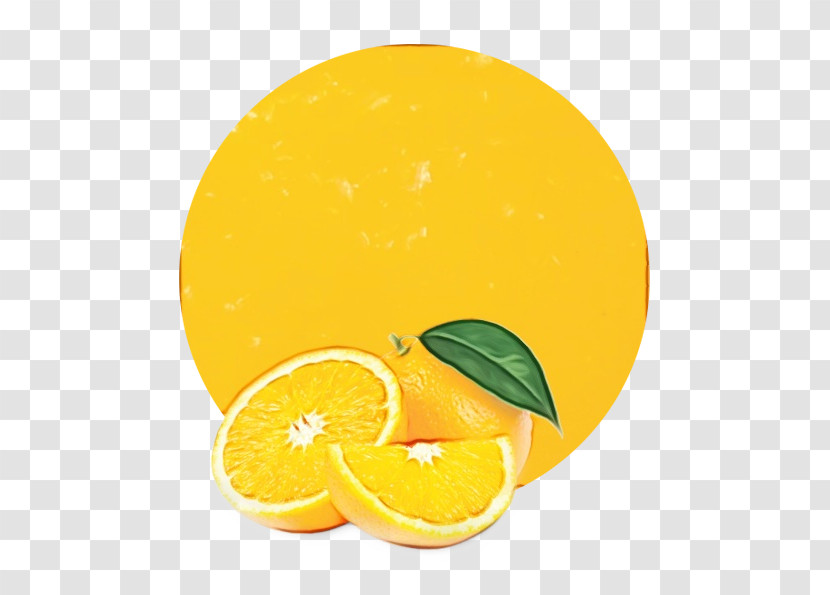 Orange Transparent PNG