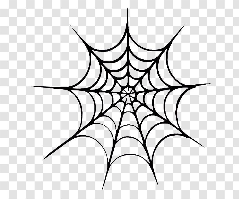 spider vector png