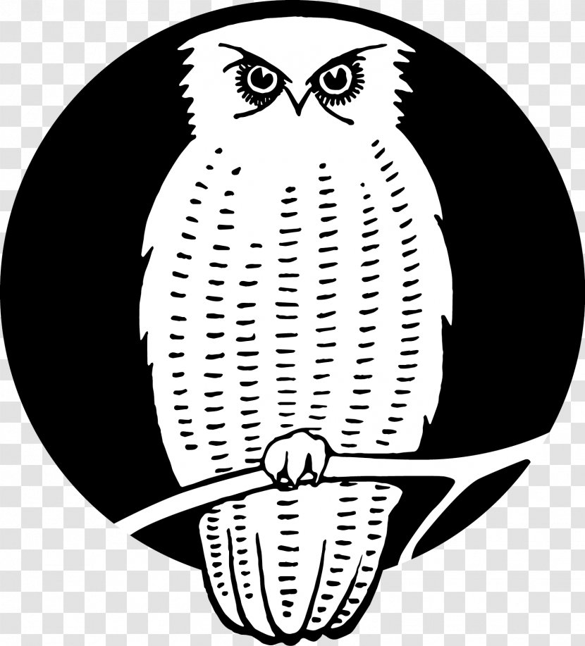 Owl Beak Bird Of Prey Clip Art - Moon Transparent PNG