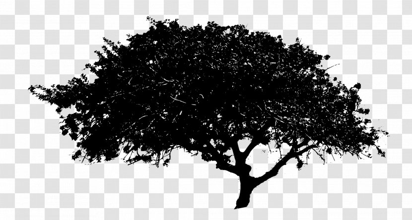 Tree Clip Art - Black And White Transparent PNG