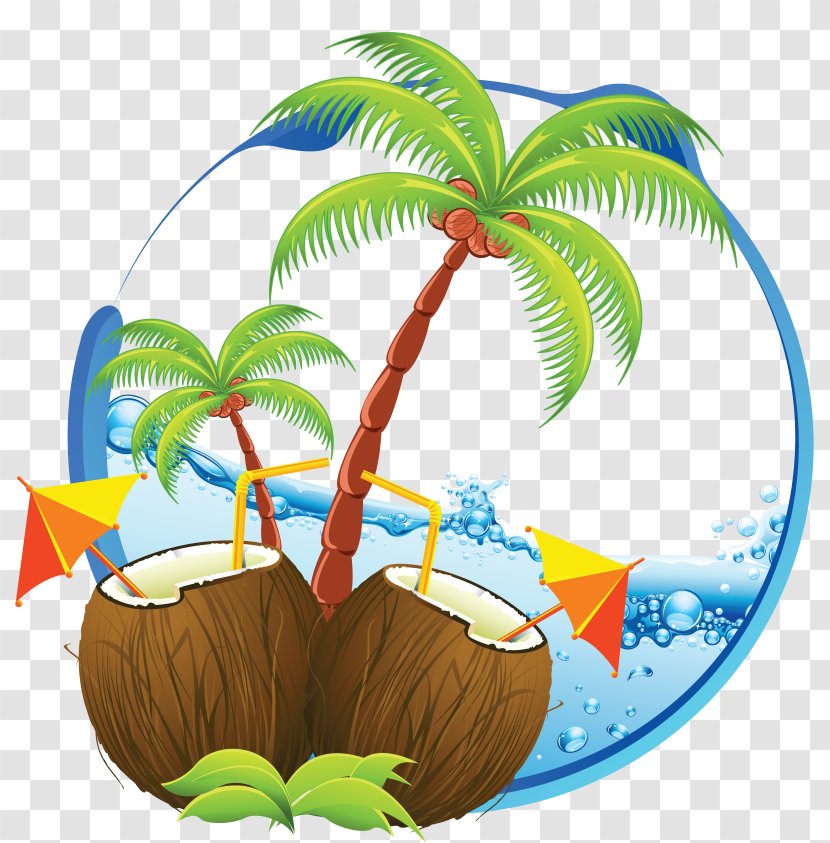 Royalty-free Clip Art - Coconut - Organism Transparent PNG