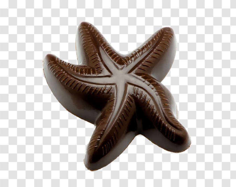 Chocolate Bar White The Hershey Company Candy - Marine Invertebrates - Starfish Transparent PNG