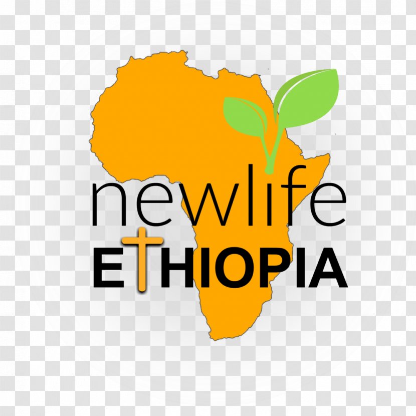 Logo White 5 Graphic Design Ethiopia Font - Orange - World Vision Transparent PNG