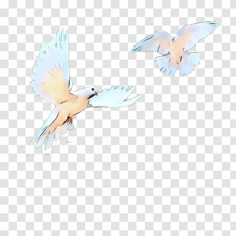 Vintage Background - Wing - Perching Bird Transparent PNG