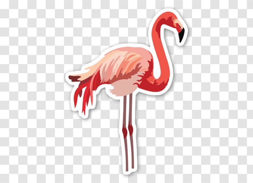 Bird Drawing - Flamingo Transparent PNG
