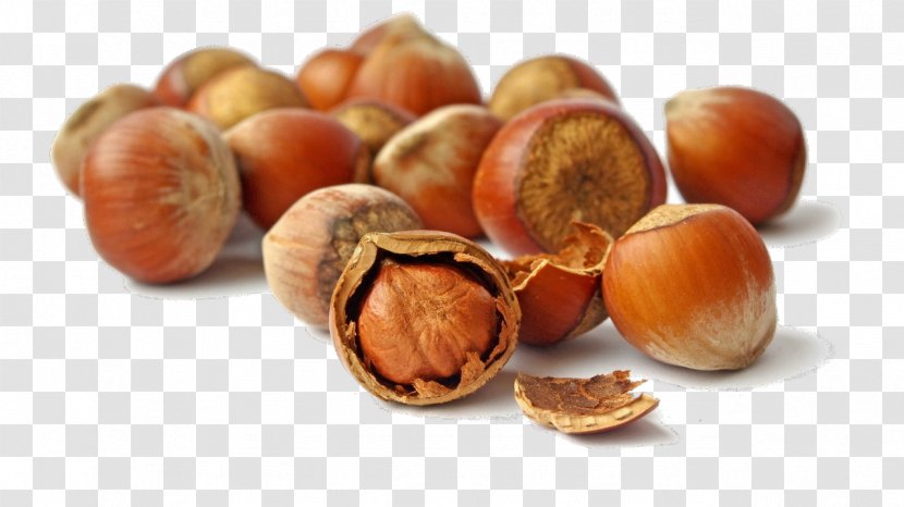 Hazelnut Common Hazel Flavor Salmon Of Knowledge - Juice Transparent PNG