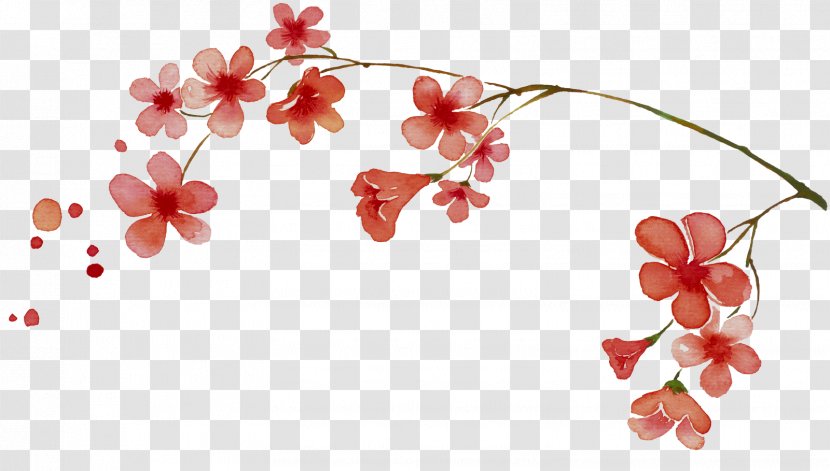 Cherry Blossom Plum - Gratis - Hand-painted Transparent PNG