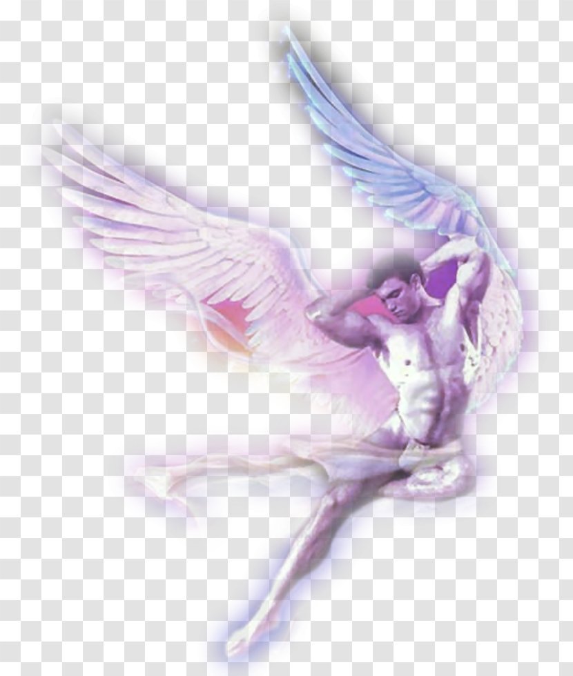 Man Angel - Flower Transparent PNG