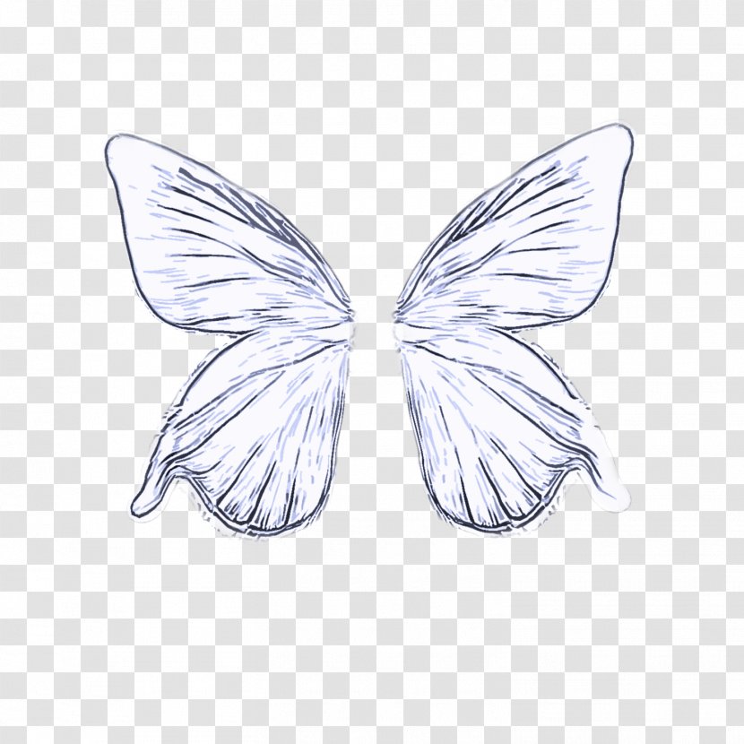 Butterfly Wing Moths And Butterflies Insect Line Art - Pieridae Drawing Transparent PNG