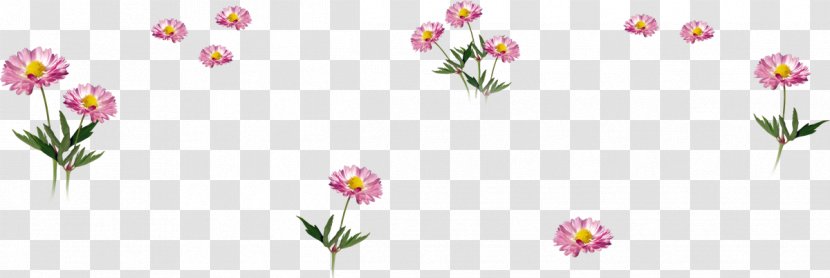 Common Daisy Flower Food Bouquet Garni Winter - Head Transparent PNG