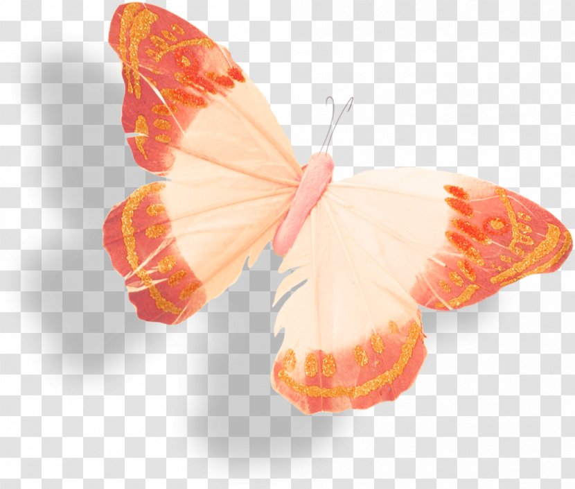 Butterfly Moth Insect Clip Art Transparent PNG