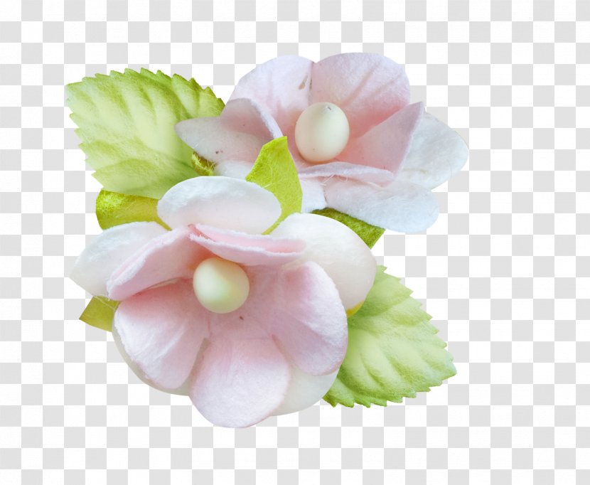 Cut Flowers - Blossom - Baby Shawer Transparent PNG