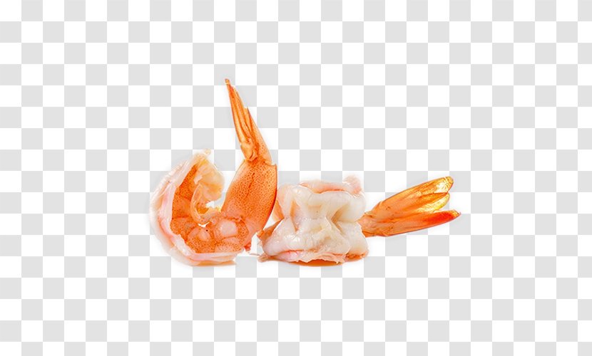 Cocktail Sashimi Caridea Shrimp Seafood - Food Intolerance - Shrimps Transparent PNG
