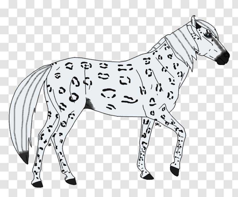 Mule Stallion Mustang Mare Bridle - Horse Tack - Zevran Arainai Transparent PNG