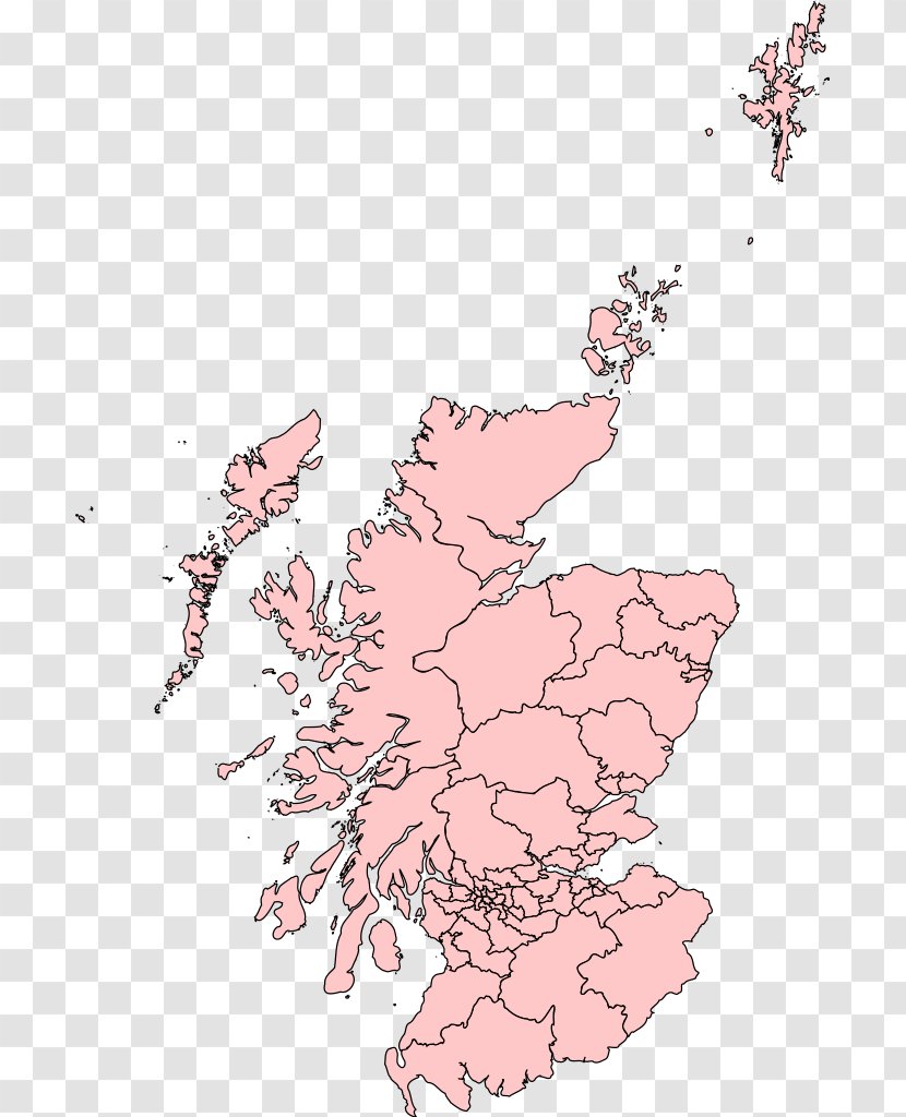 Scotland United Kingdom General Election, 2015 2017 2010 Scottish National Party - Flower - Art Transparent PNG