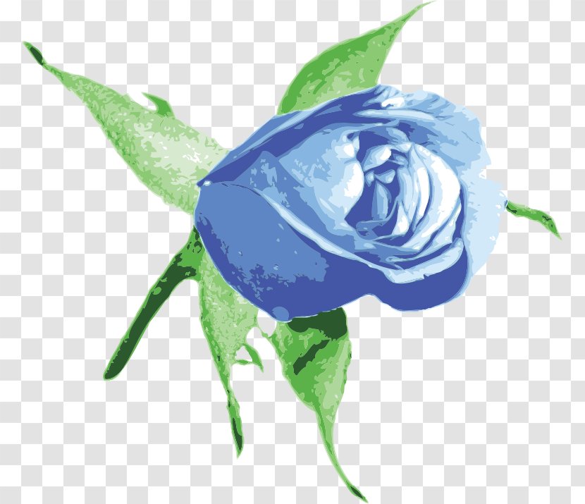 Best Roses Blue Rose Clip Art - Flora Transparent PNG