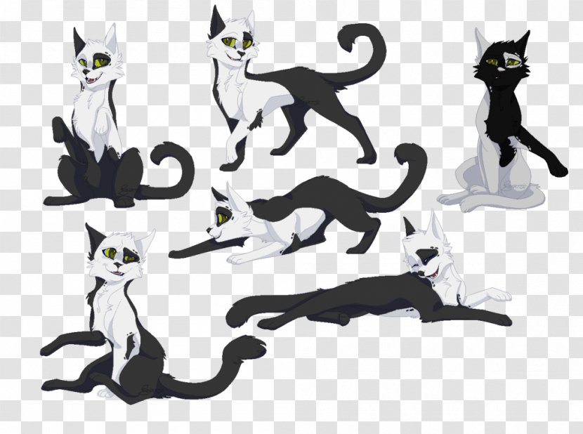 Cat Warriors Drawing Book Art - Small To Medium Sized Cats Transparent PNG
