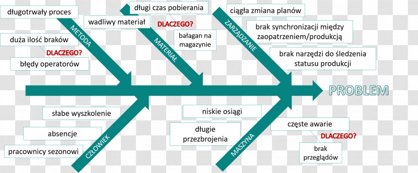 Ishikawa Diagram Lean Manufacturing Management Fish Bone - Warehouse Transparent PNG