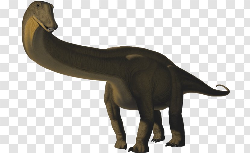 Apatosaurus Brontosaurus Ankylosaurus Tyrannosaurus Allosaurus - Dinosaur Transparent PNG