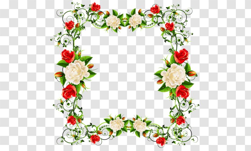 Flower Beach Rose Clip Art - Red And White Roses Vine Frame Transparent PNG