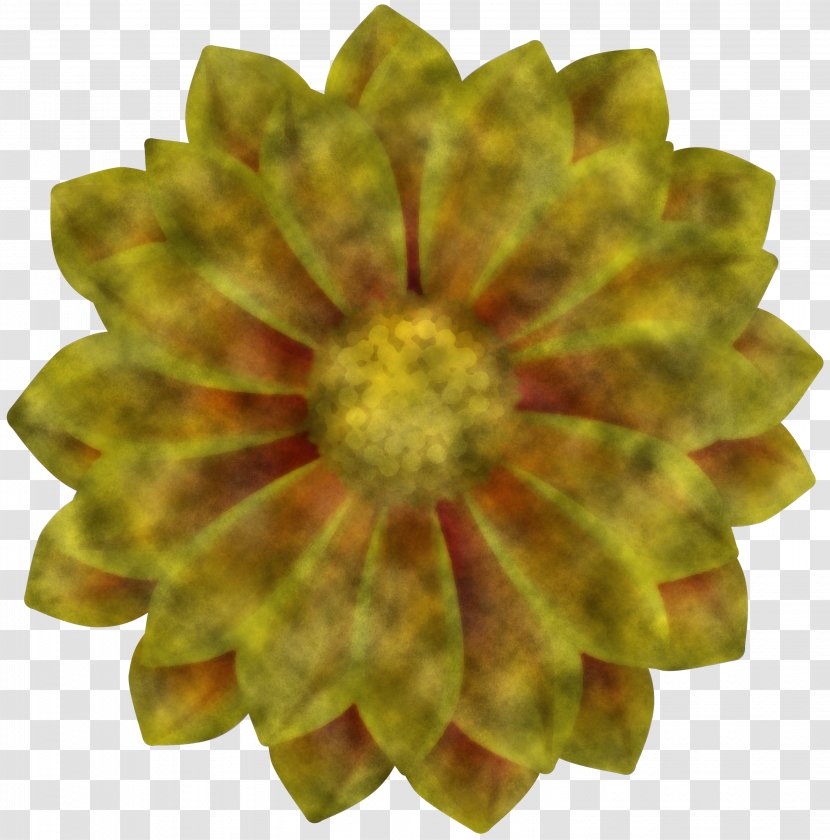 Sunflower - Petal - Perennial Plant Transparent PNG
