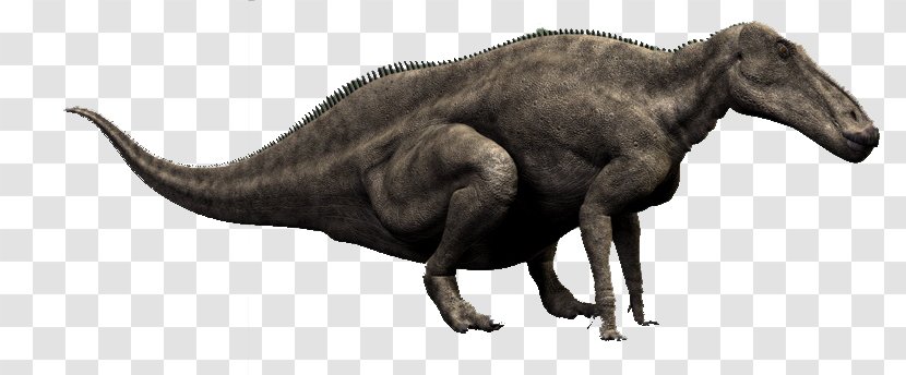 Tyrannosaurus Extinction Terrestrial Animal Wildlife - Organism - Maiasaura Transparent PNG