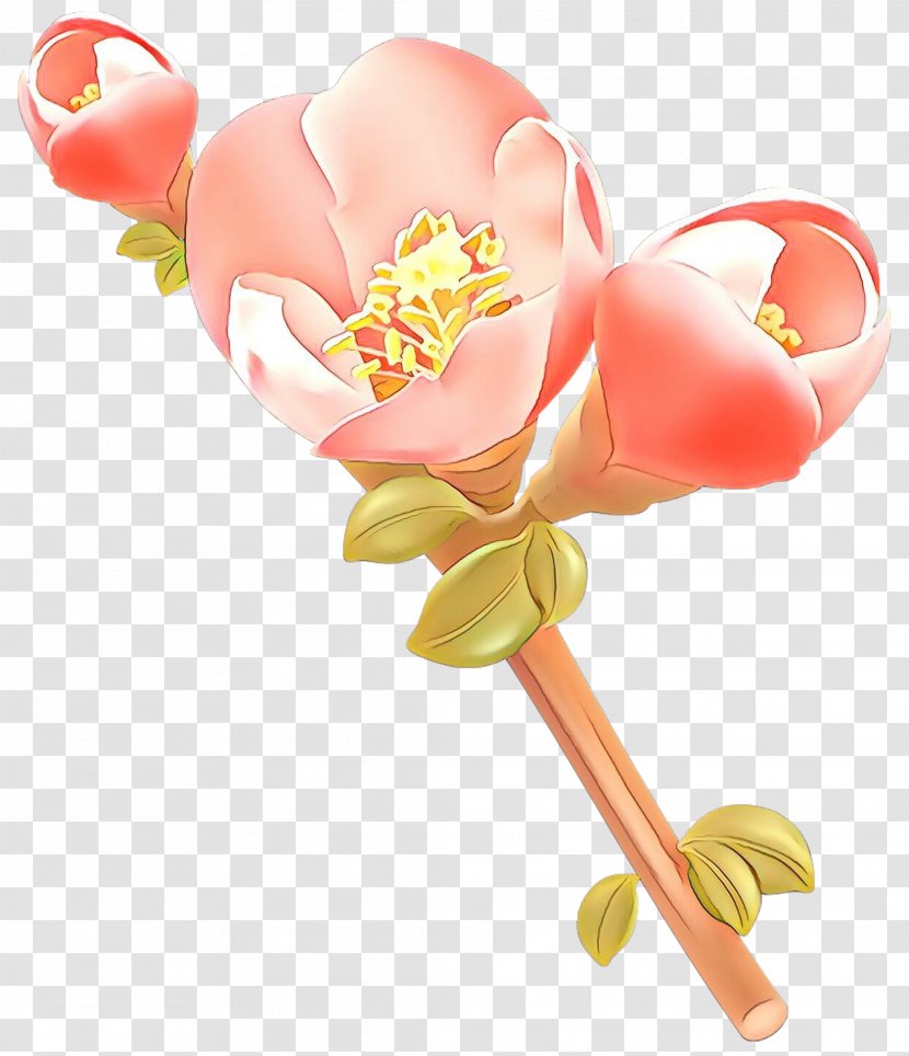 Pink Cut Flowers Flower Plant Petal - Cartoon - Peach Moth Orchid Transparent PNG