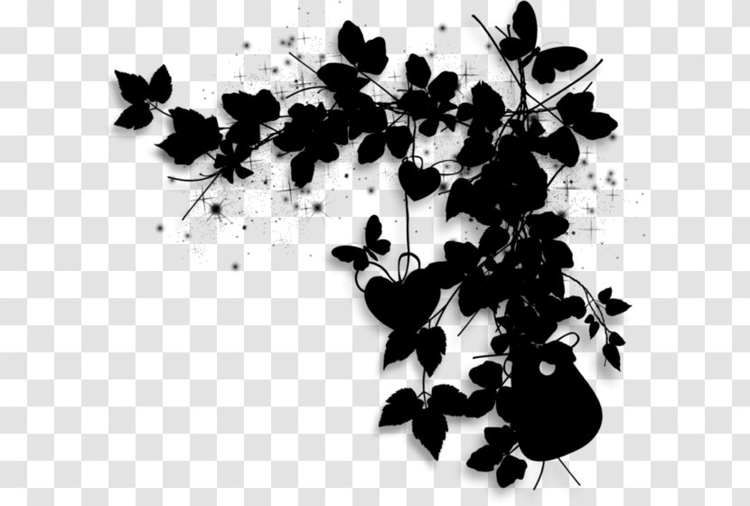 Silhouette Font Leaf Pattern - Botany Transparent PNG