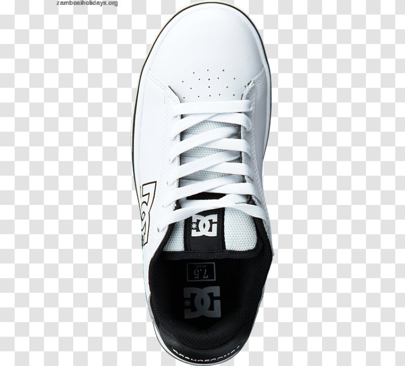 Sneakers Sportswear Brand - Shoe - Sport Transparent PNG