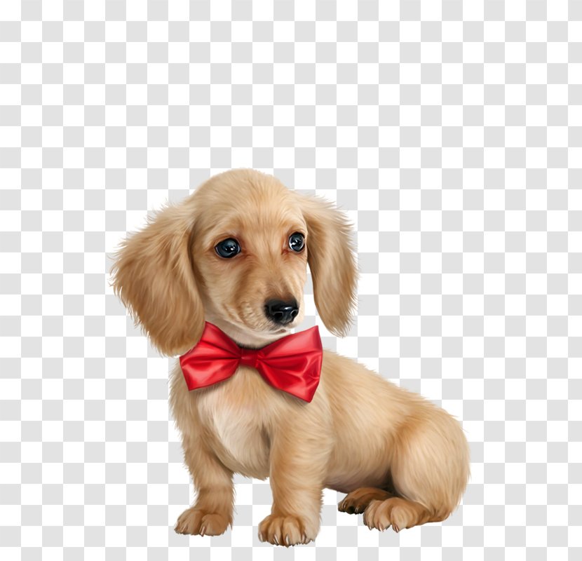 Golden Retriever Puppy Dog Breed Transparent PNG