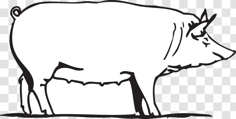Pig Drawing Clip Art - Tree Transparent PNG