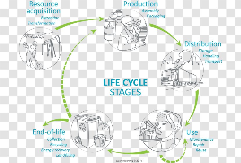 Product Life-cycle Management Assessment Cycle De Vie Des Produits Biological Life - Flower - Coffee Raw Materials Transparent PNG