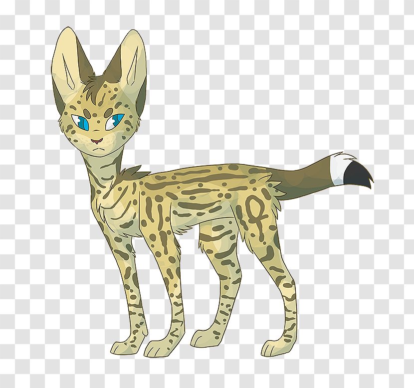 Whiskers Wildcat Tabby Cat Terrestrial Animal - Tail Transparent PNG
